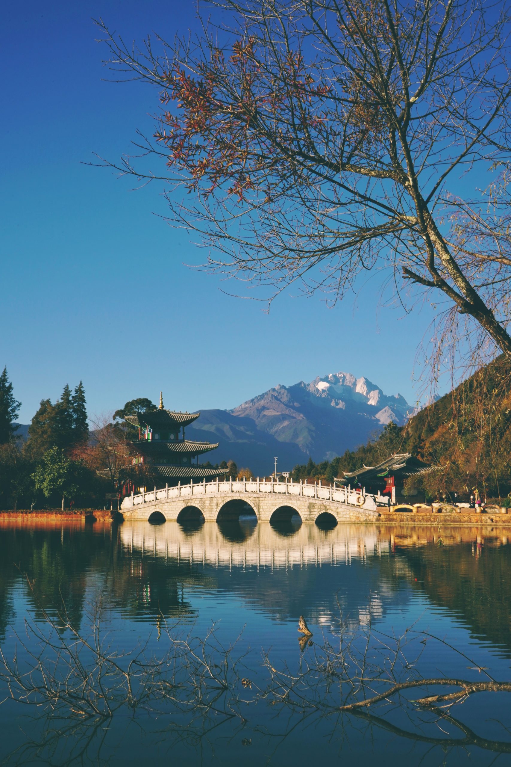 Black Dragon Pool, Lijiang