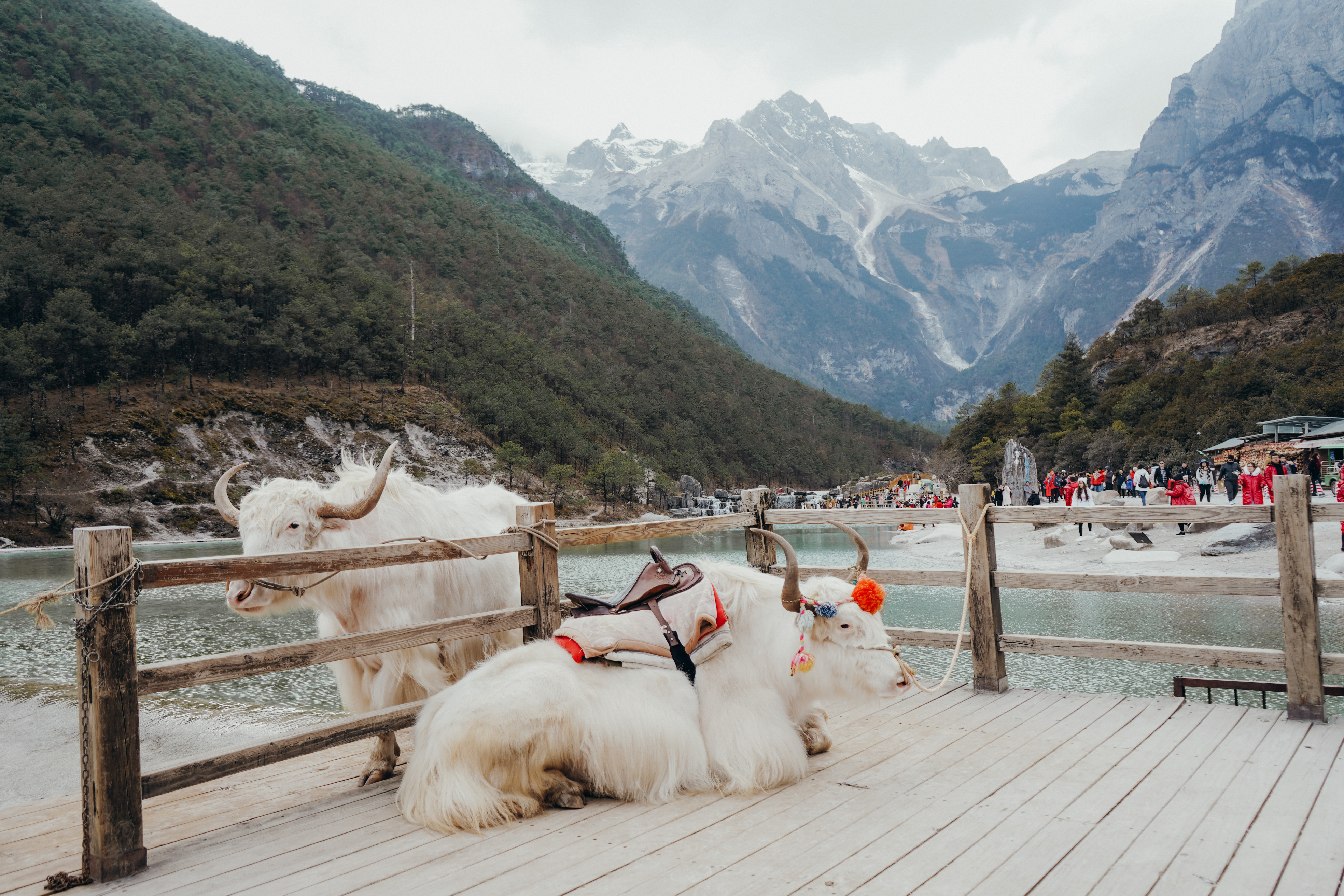 Blue Moon Valley, Jade Dragon Snow Mountain