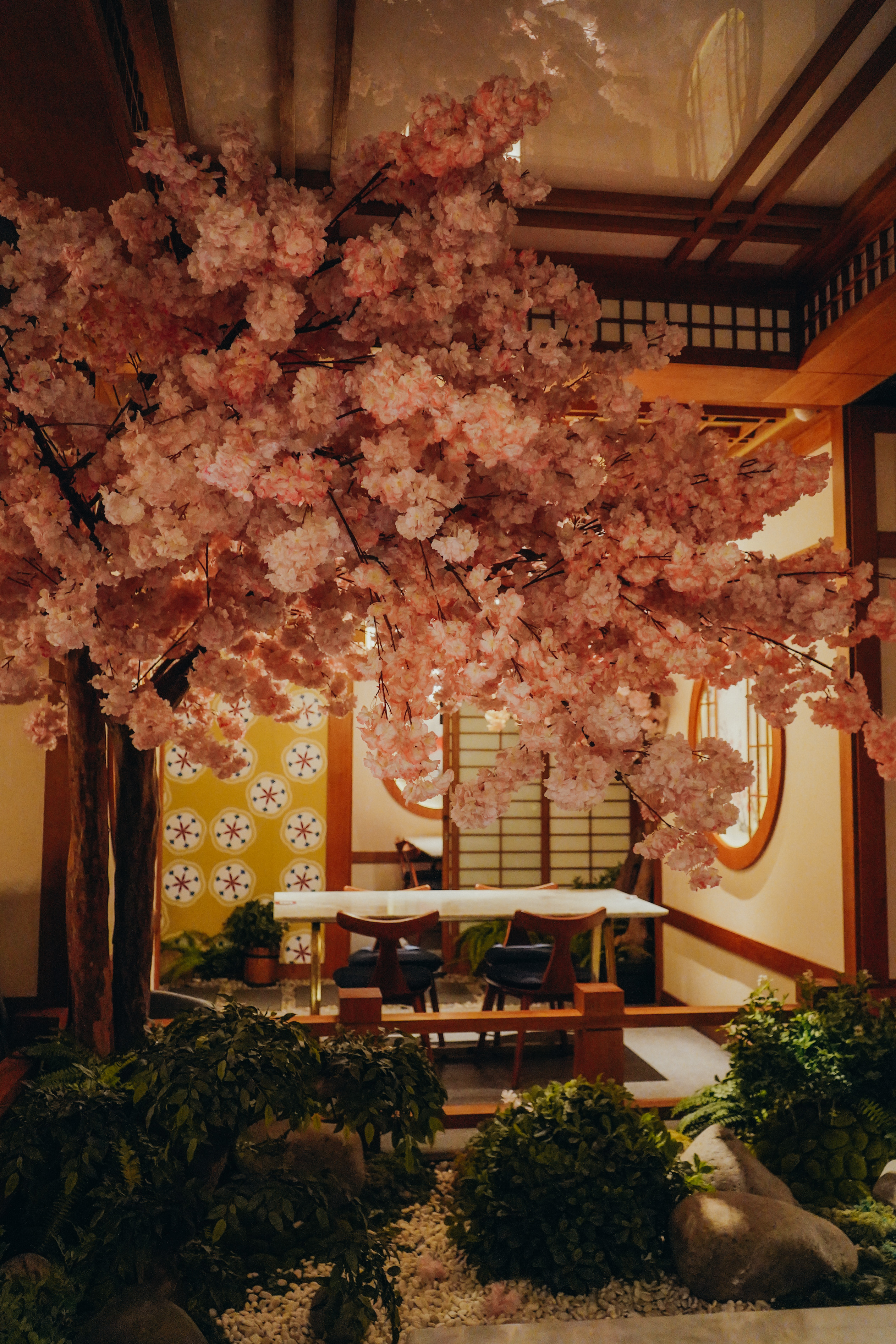 KINTARO SENOPATI