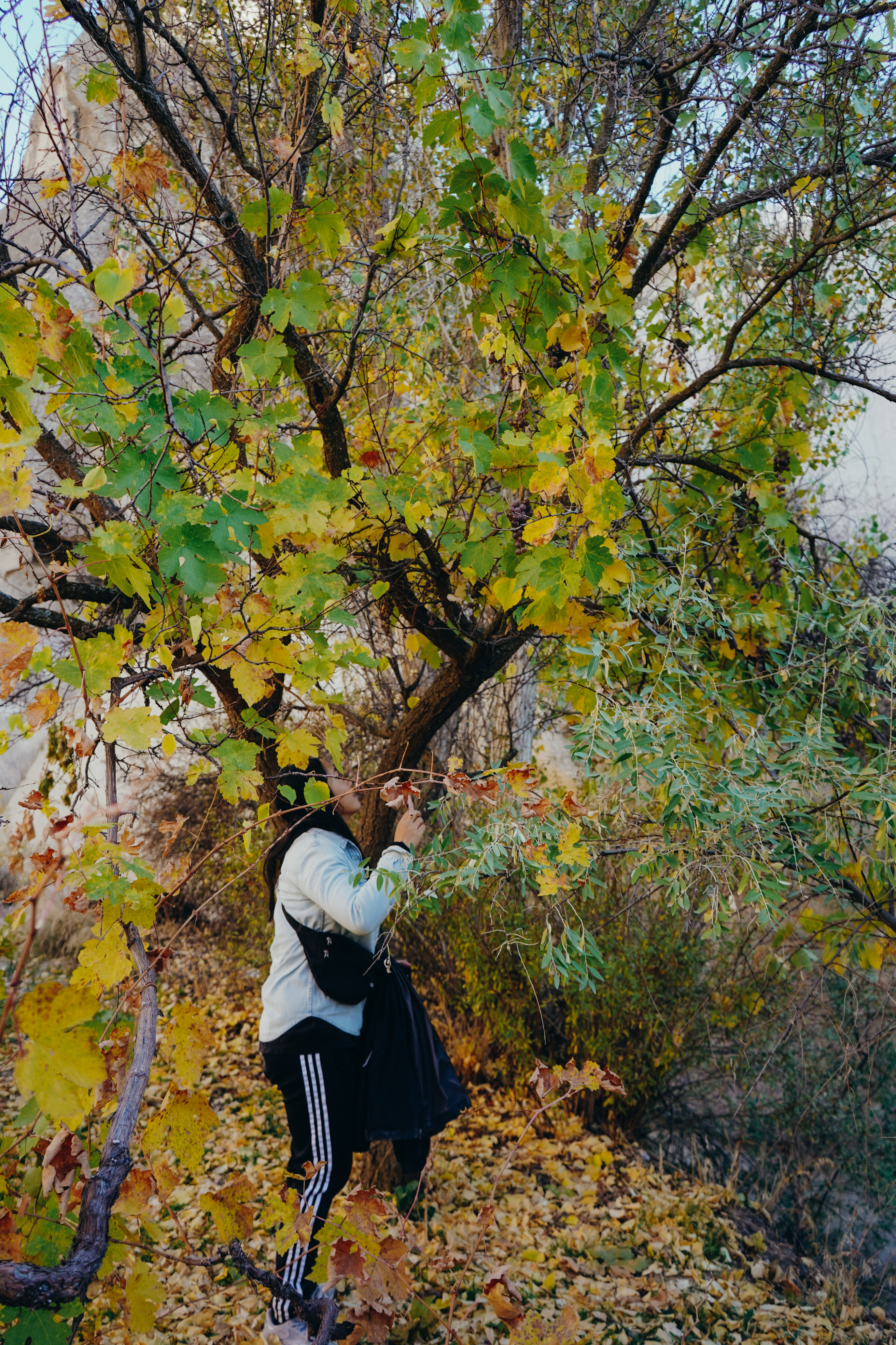 Hiking on Rose Valley Cappadocia