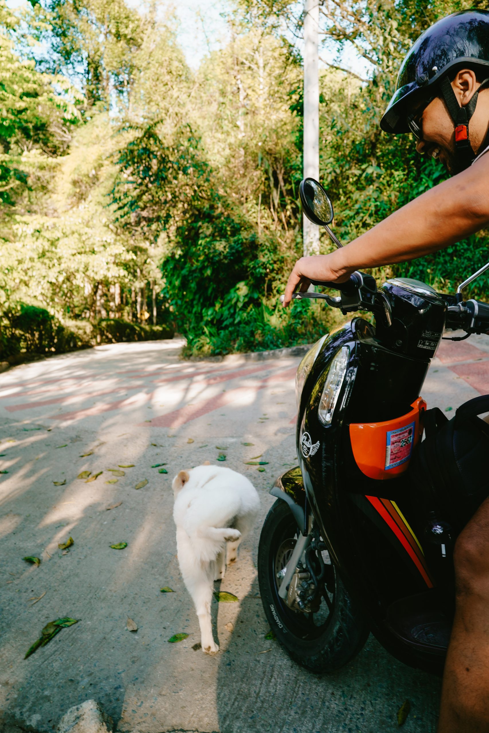 Motoran, Road-Trip, Motor, Scooter, Chiang Mai, Thailand