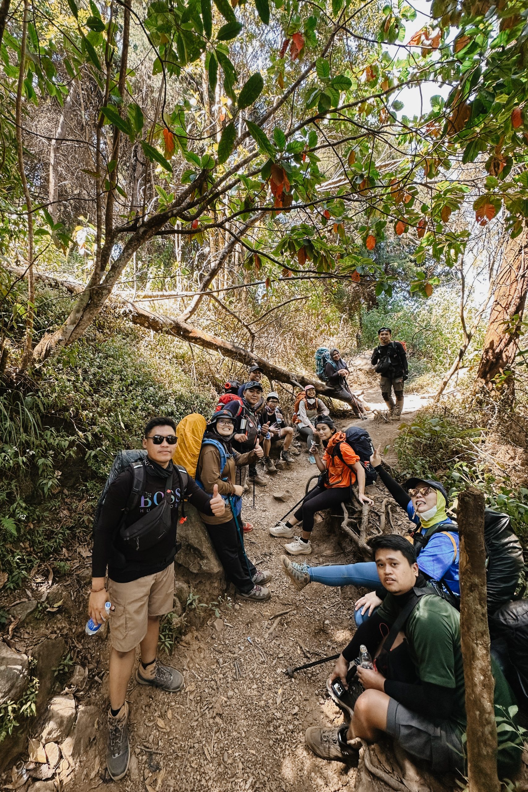 Mount Sindoro Hiking Experience, Gunung Sindoro, Jawa Tengah, Indonesia